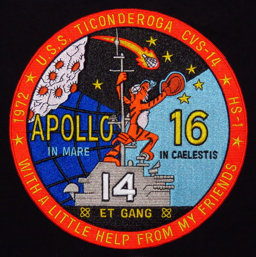 Apol16%20Tigre%20badge.jpg