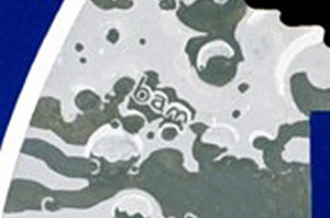 Apollo16%20bam.jpg