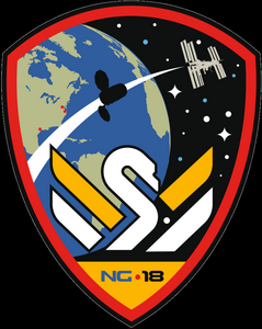 Exp68%20Cygnus_NG-18_Patch.png