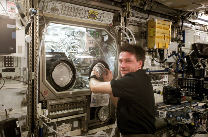 ISS8%20Foale.jpg