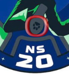 NS20%20logo%20chien.jpg