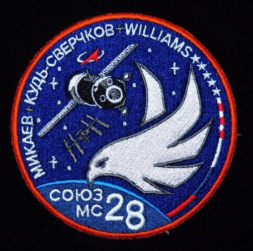 SoyMS28%20patch%20(2).jpg