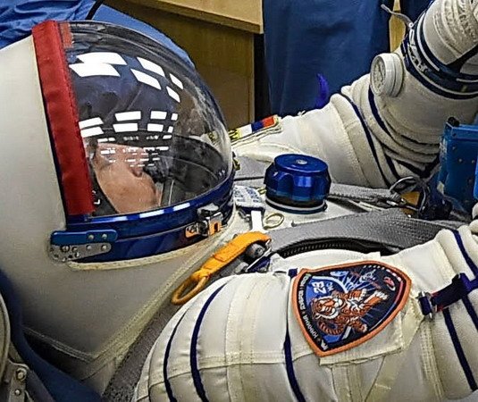 SoyMS29%20decol%20patch.jpg