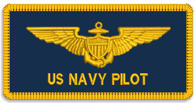 US%20Navy%20Pilot.jpg