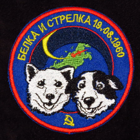 belka%20Strelka%20badge.jpg