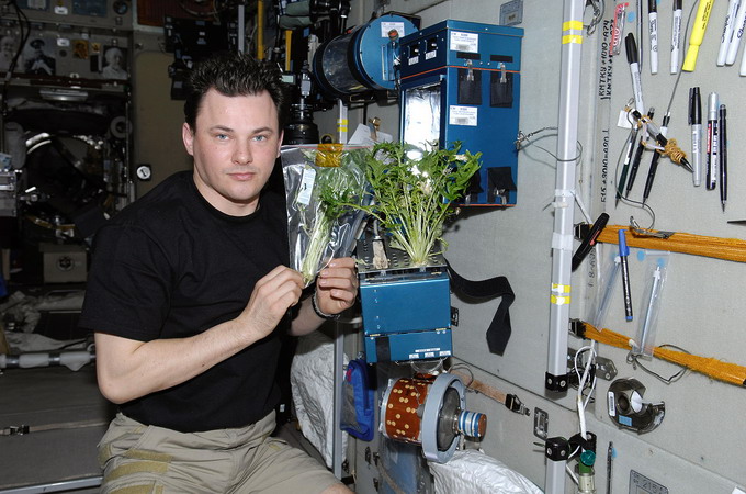 iss-21_plantes.jpg