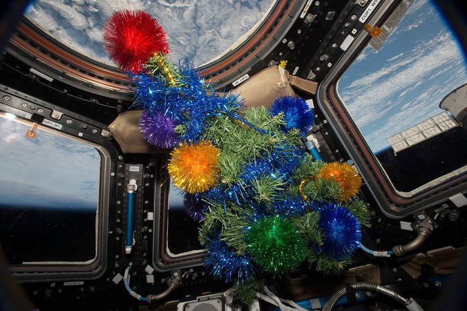 iss-46_tree.jpg